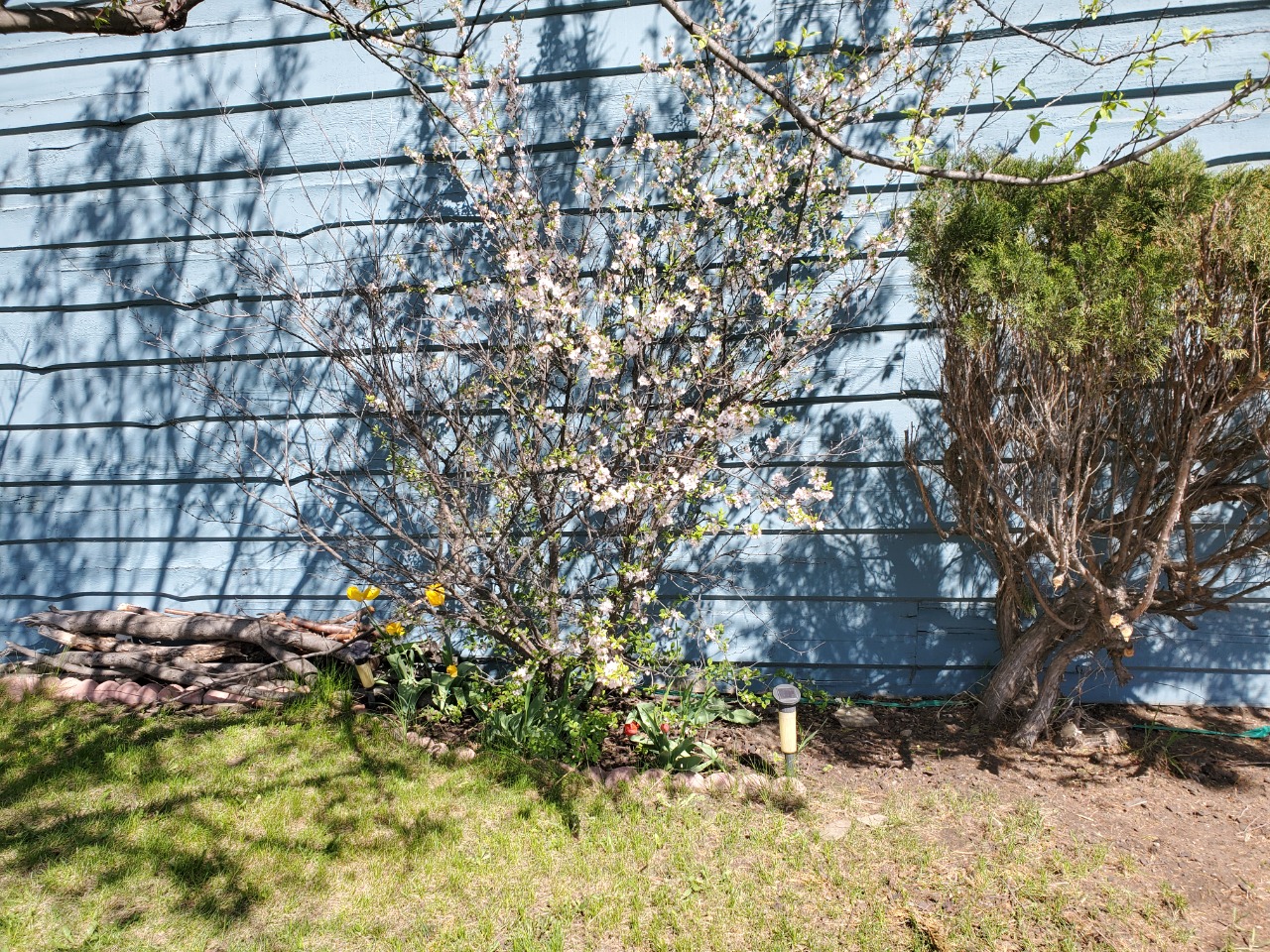 Listing Image 37