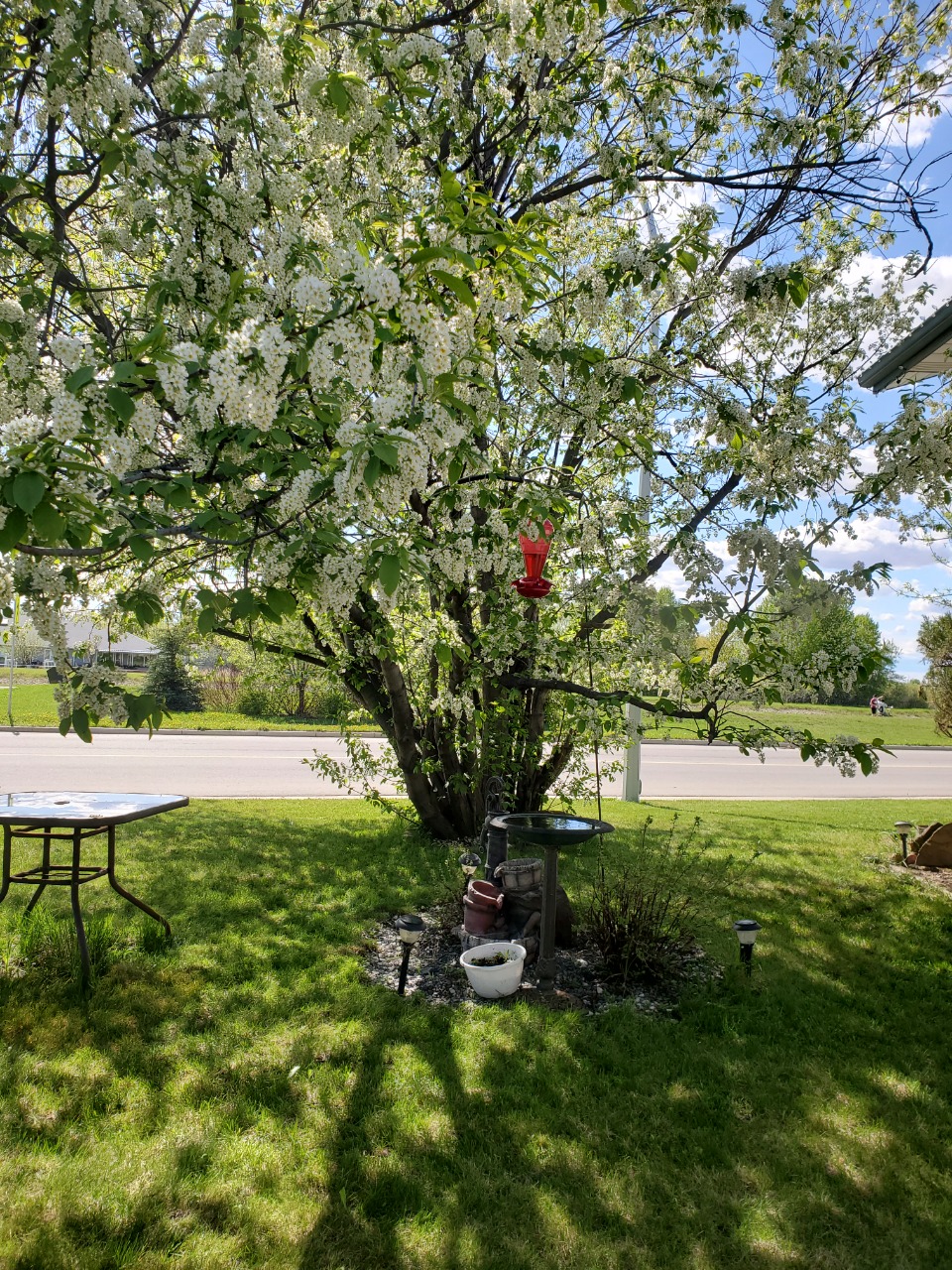 Listing Image 39