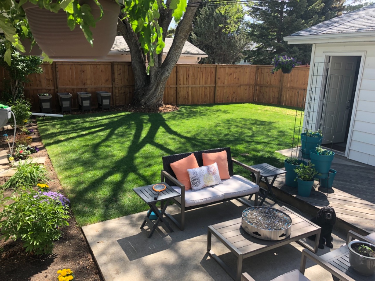 Listing Image 19