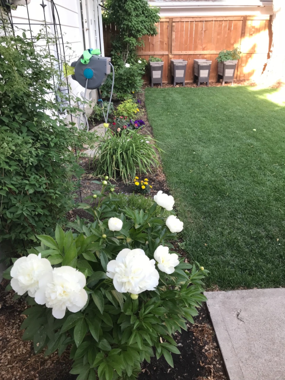 Listing Image 21