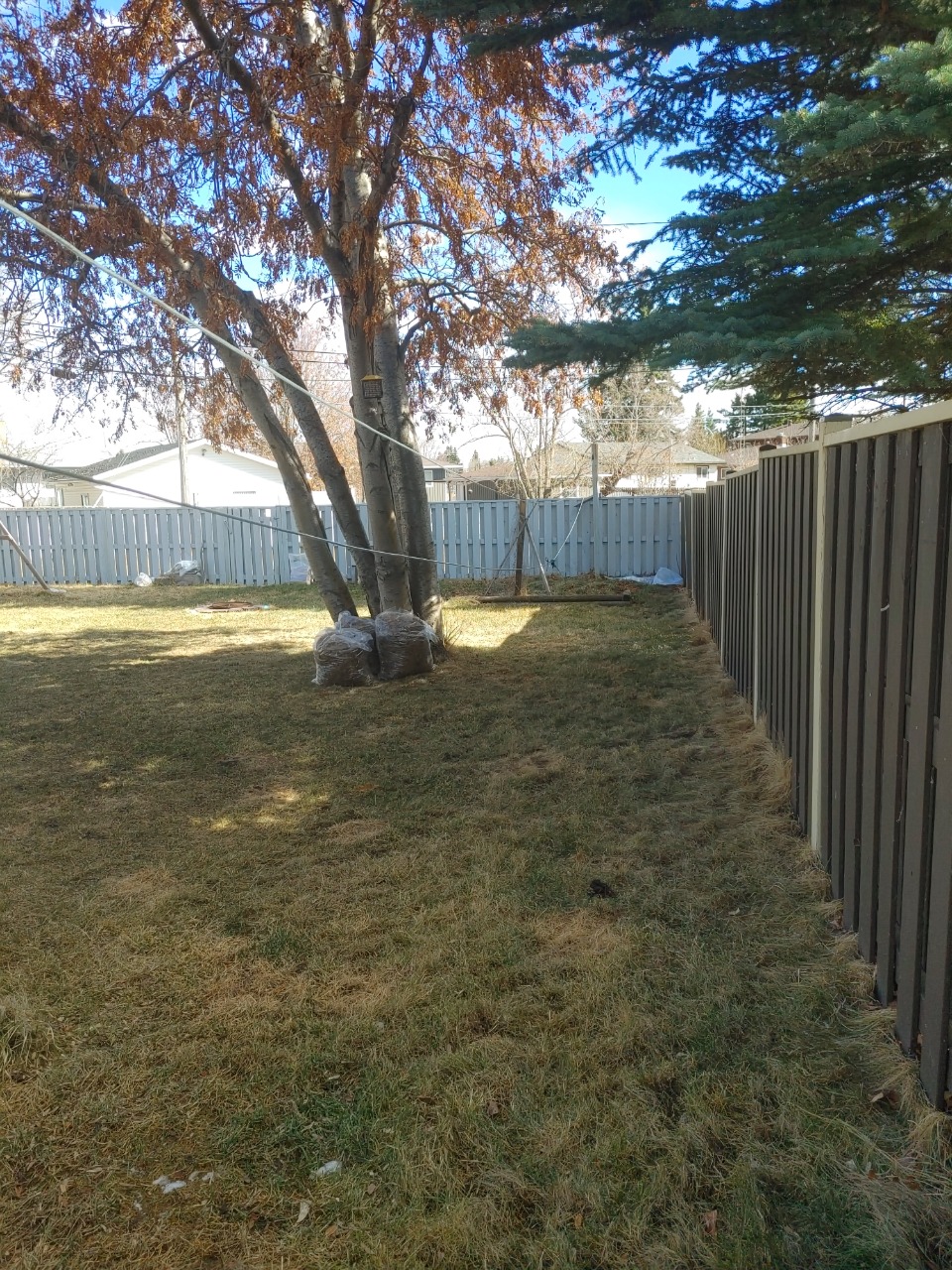 Listing Image 31
