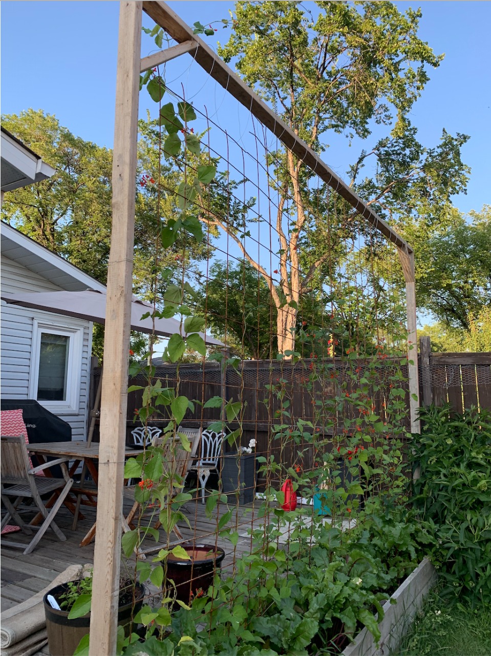 Listing Image 27