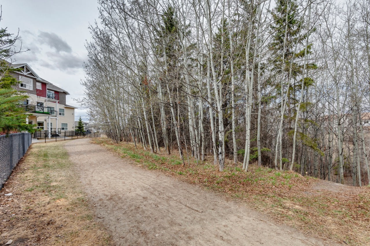 Listing Image 41