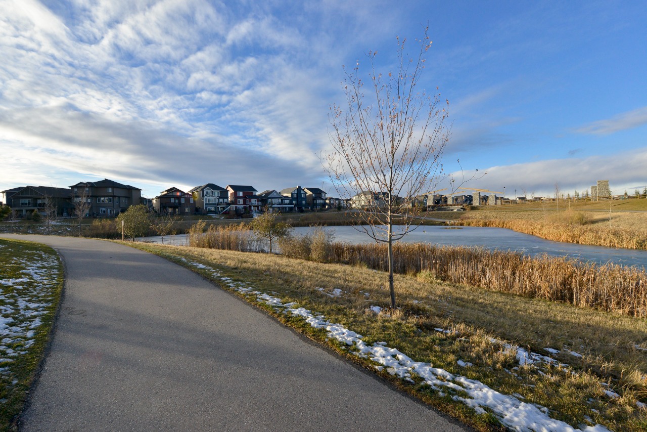 Listing Image 58