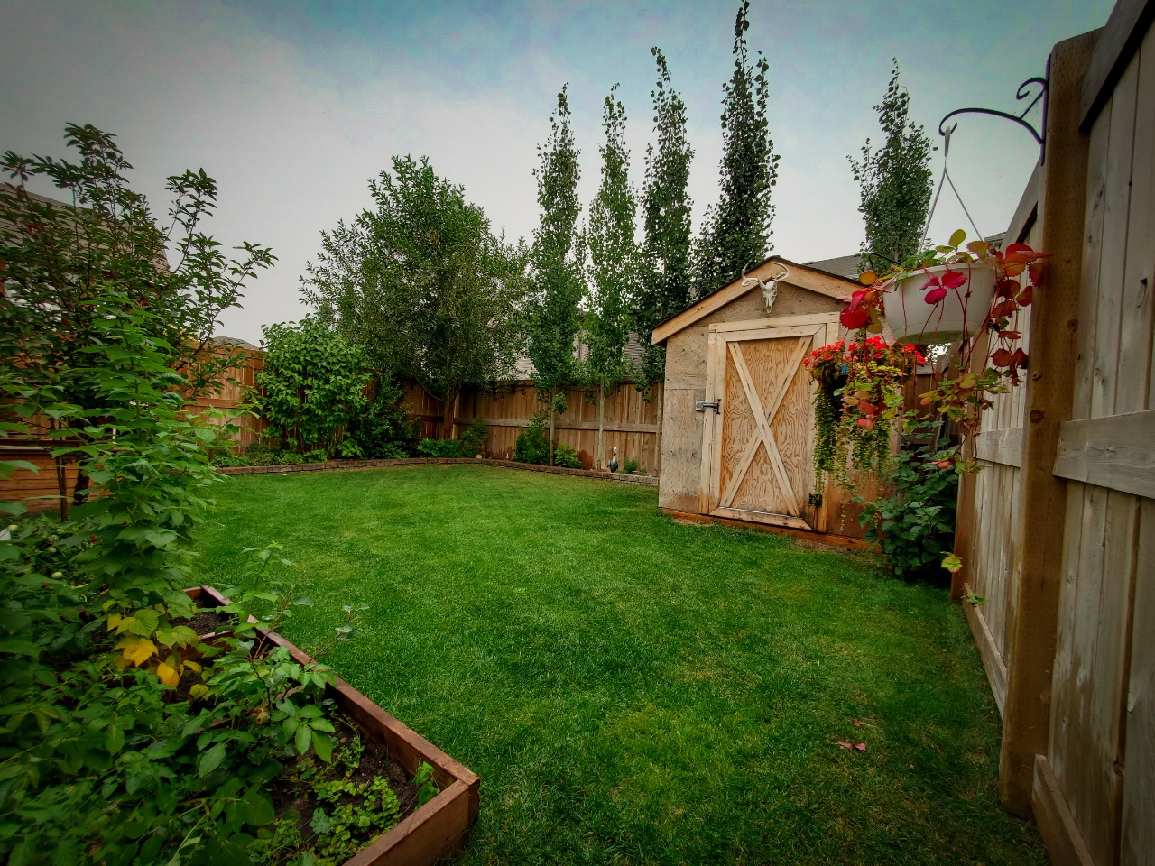 Listing Image 15