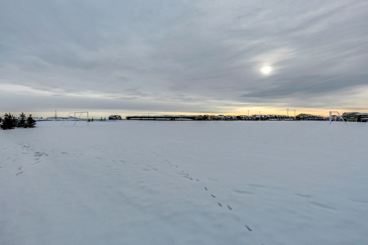 Listing Image 88