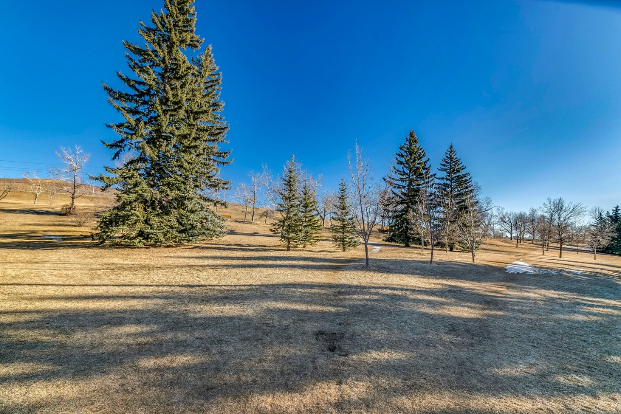 Listing Image 61