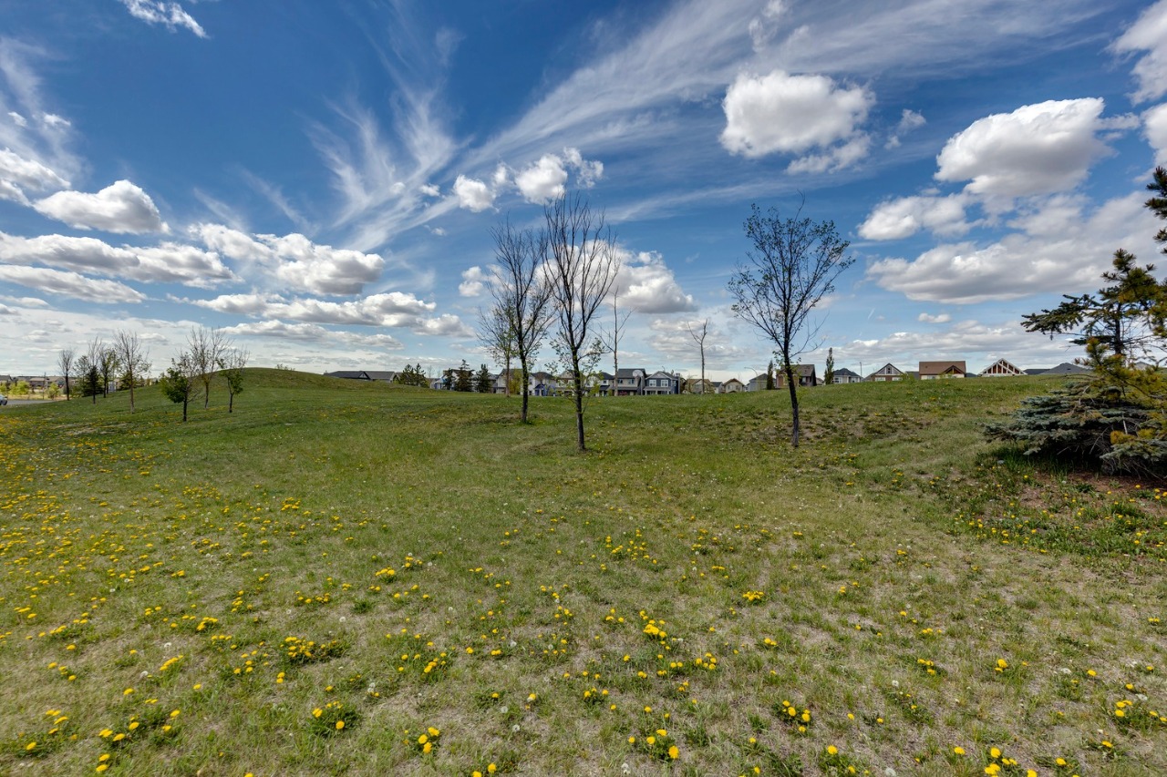 Listing Image 47