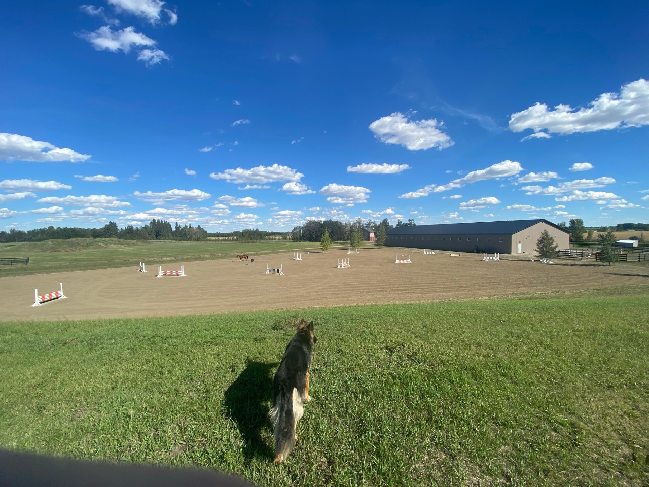 Listing Image 13