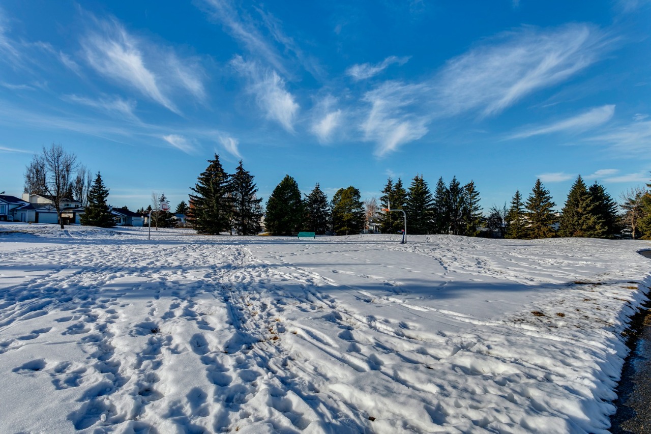 Listing Image 64