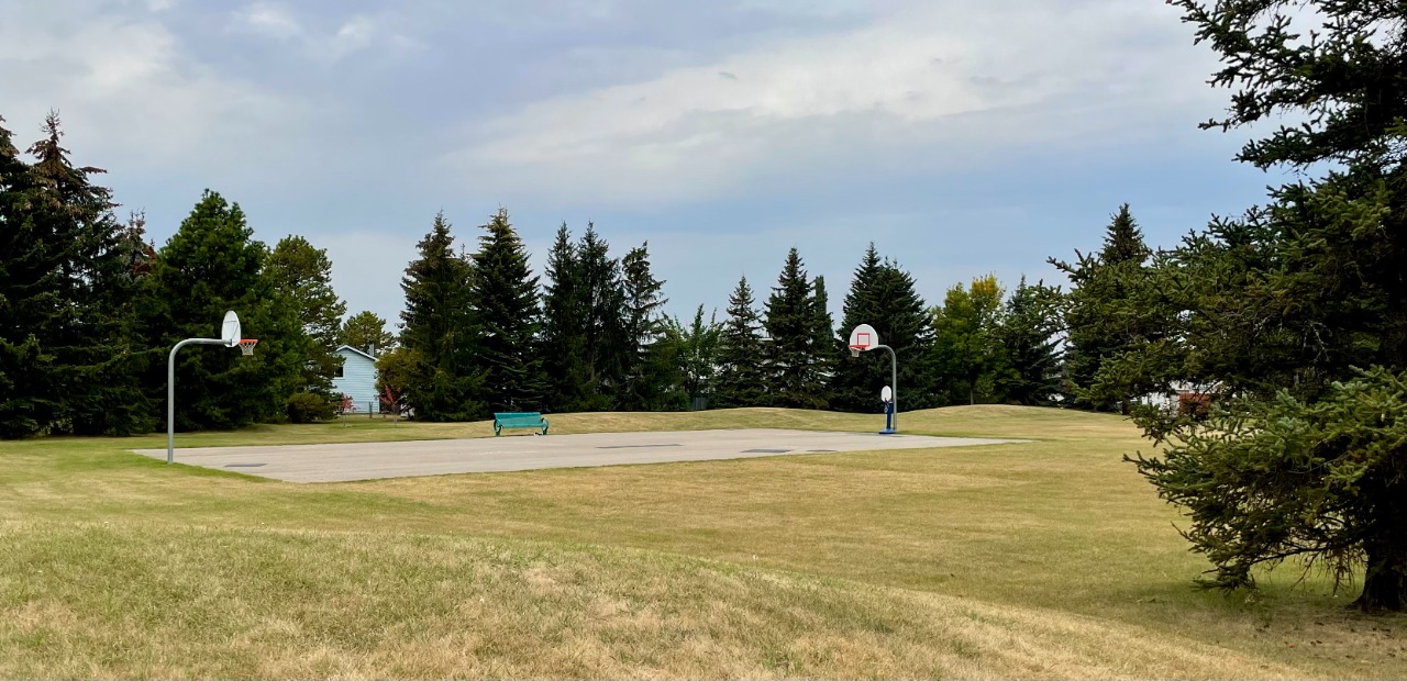 Listing Image 61