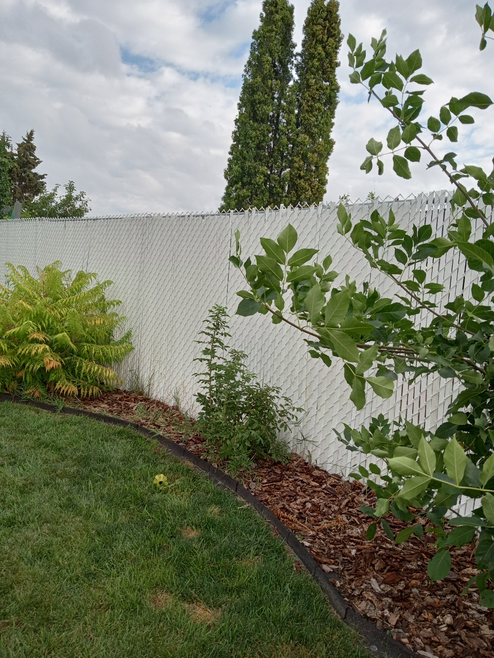 Listing Image 28
