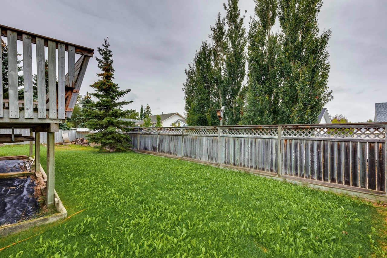 Listing Image 50