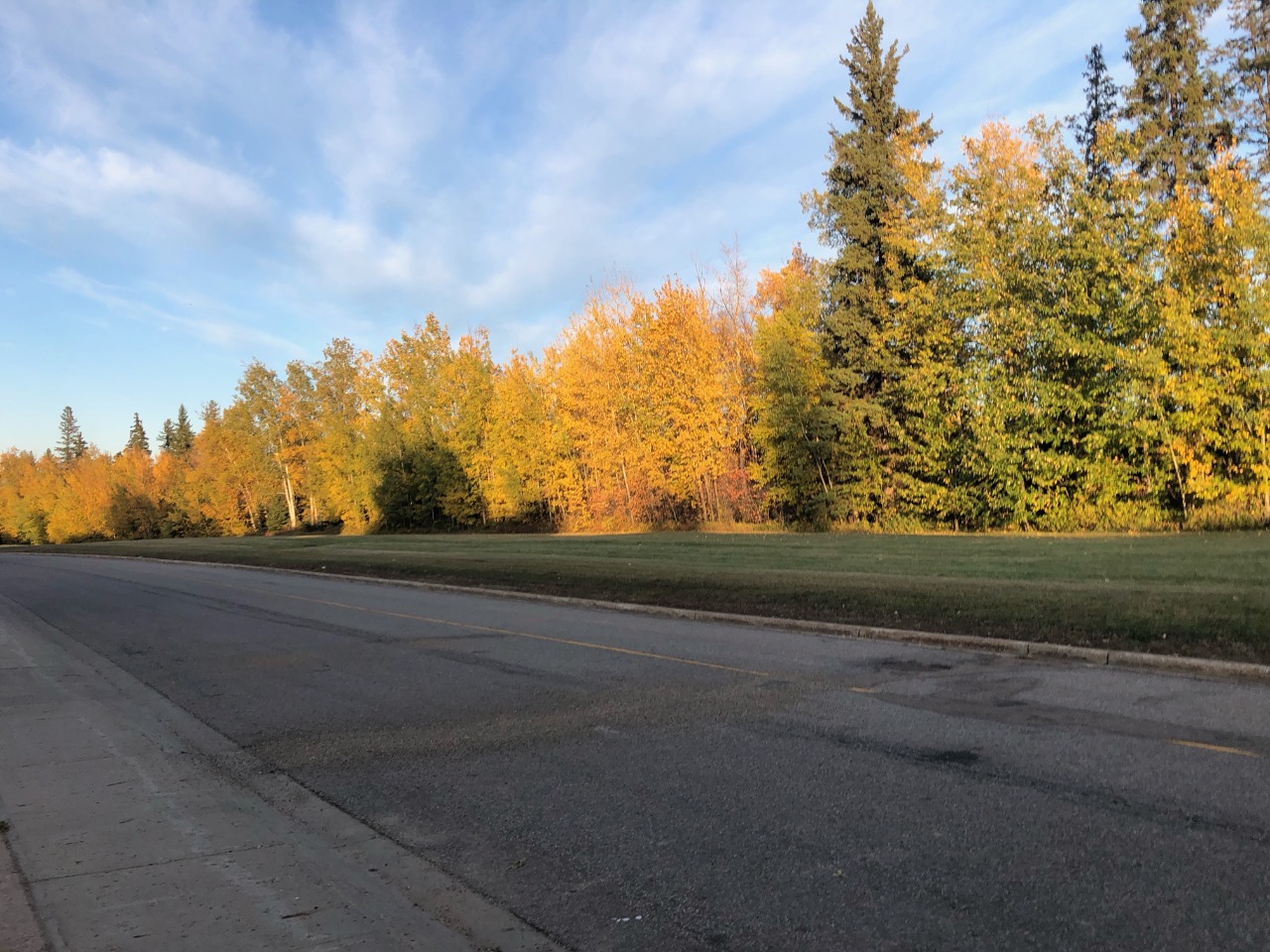 Listing Image 34