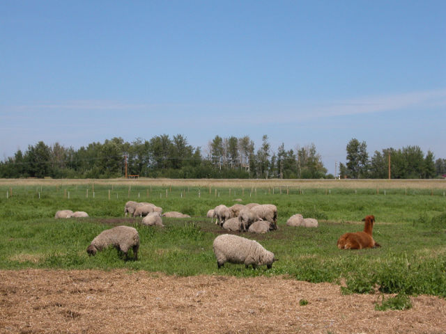 Listing Image 19