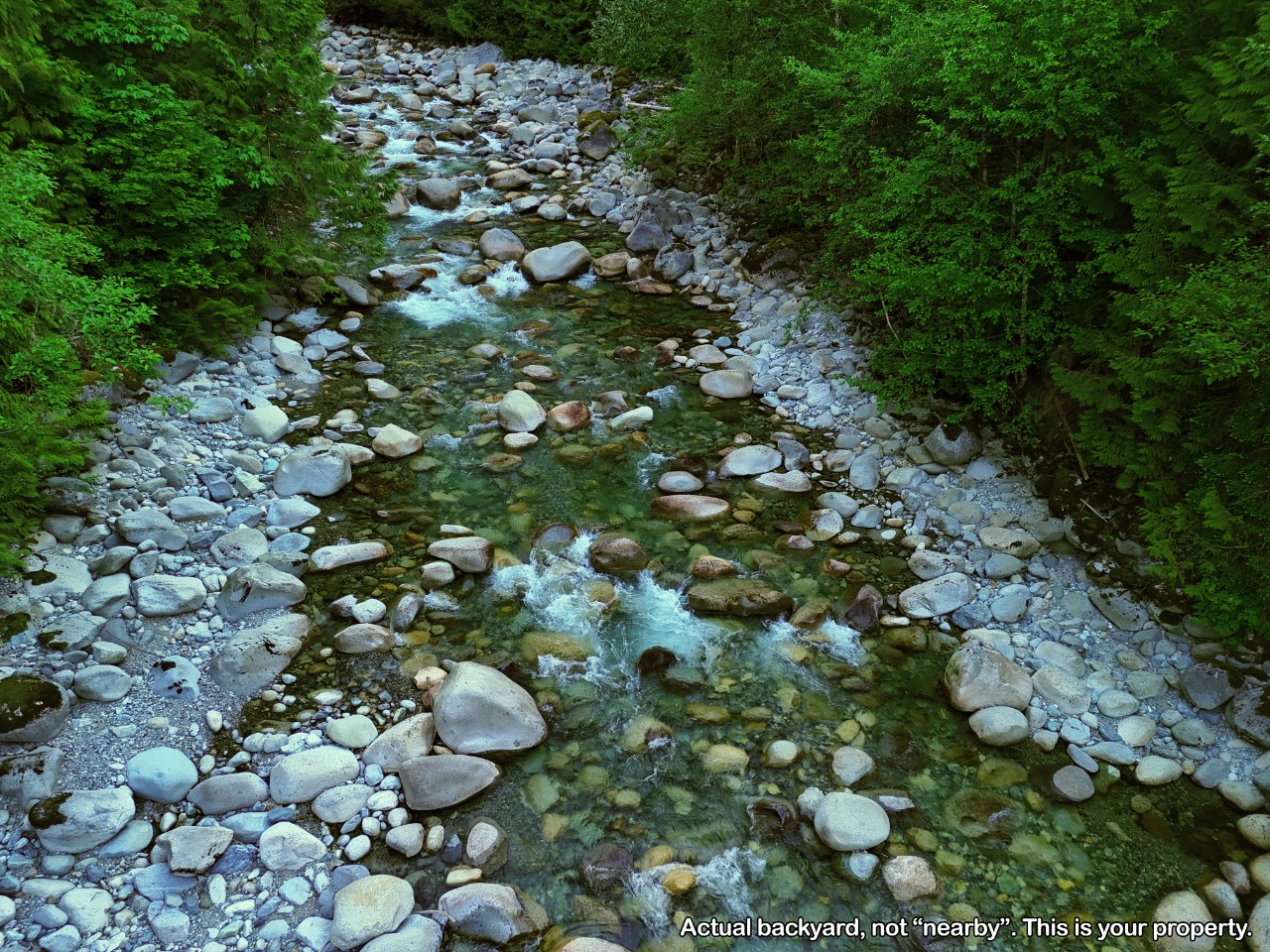Listing Image 59