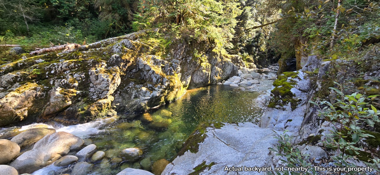 Listing Image 58