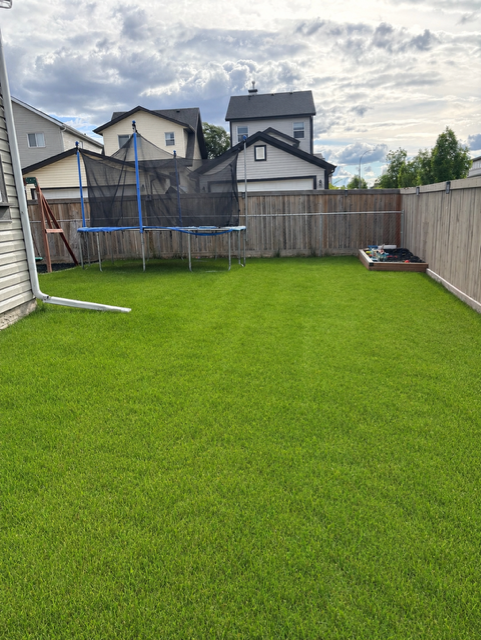 Listing Image 50