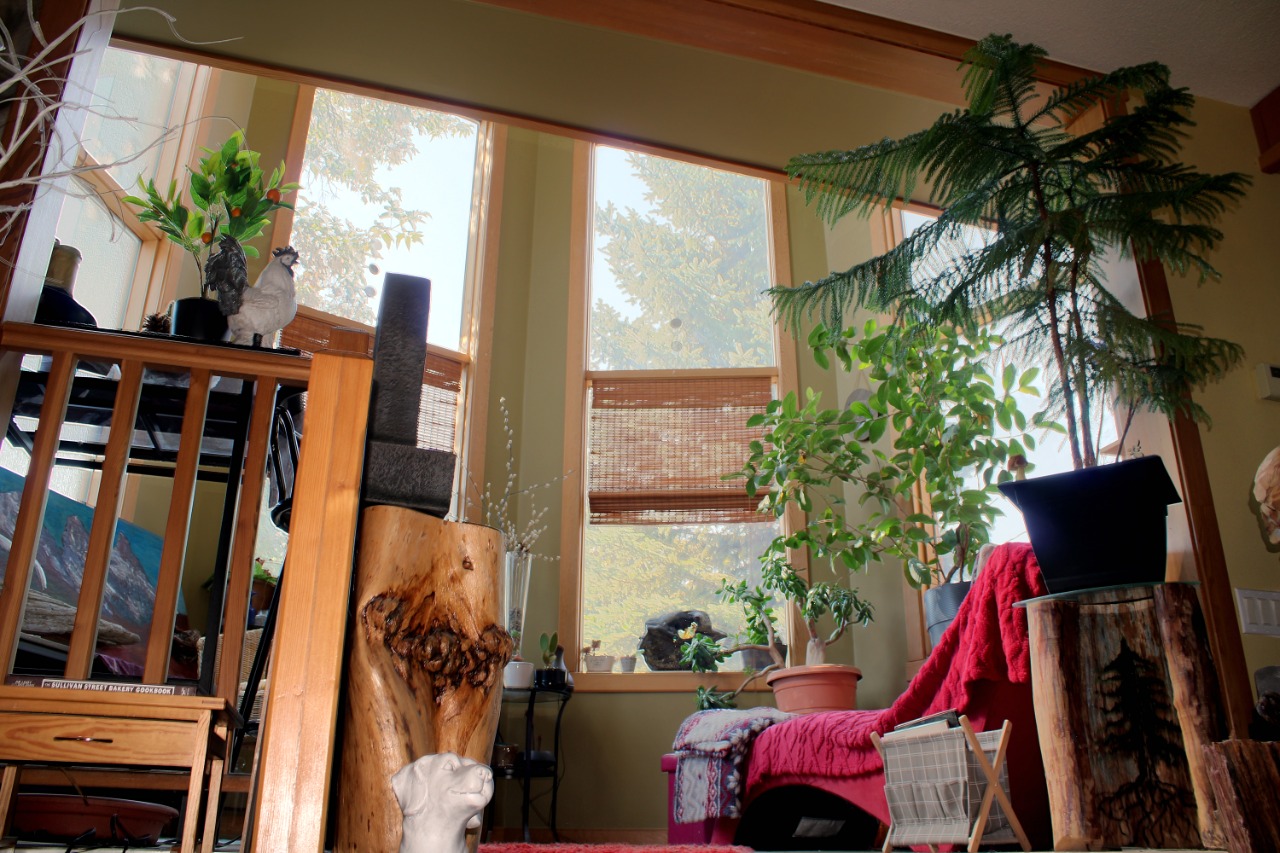 Listing Image 14