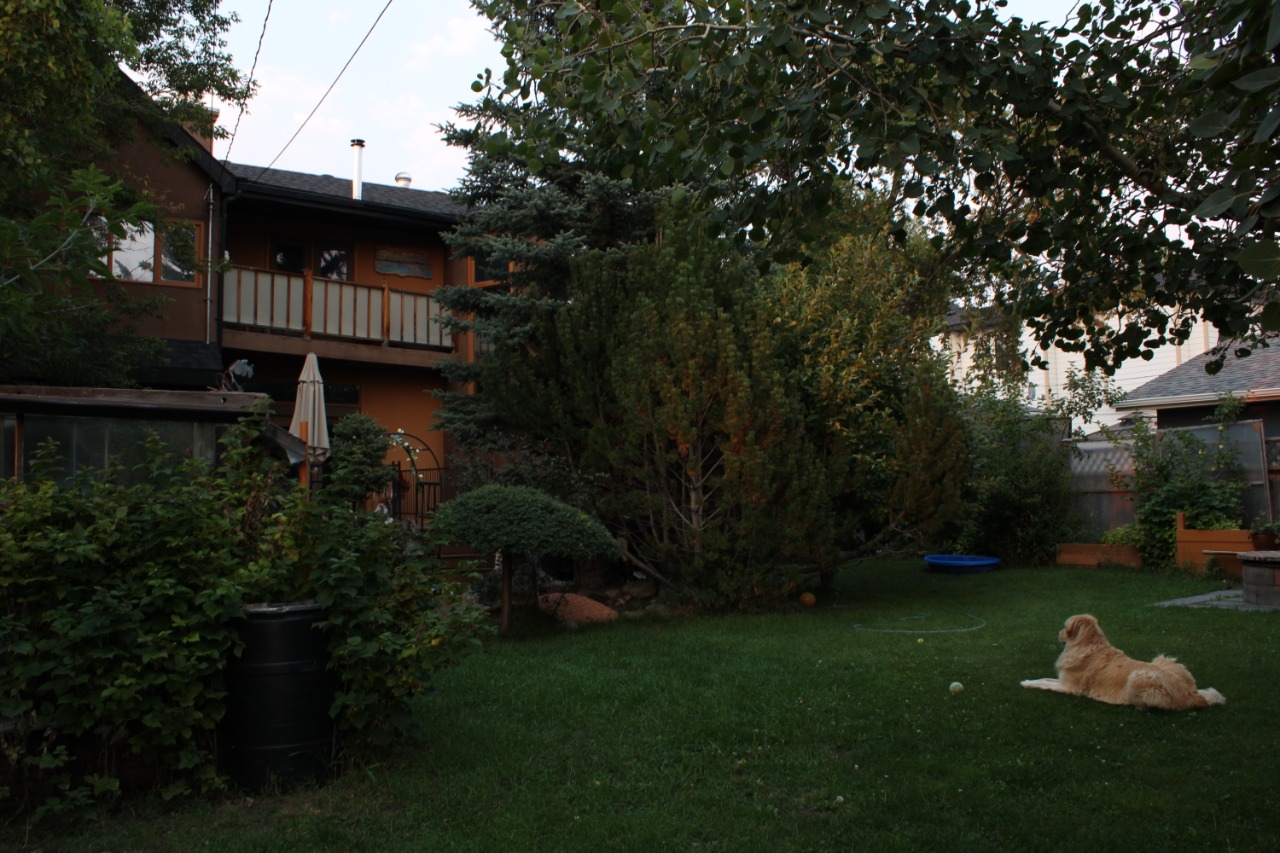 Listing Image 49